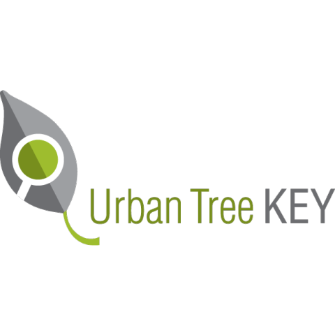 Urban Tree Key