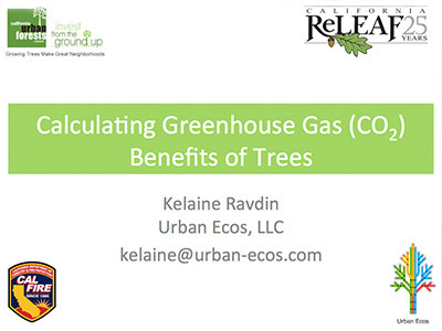 Audio: Calculating GHG Benefits of Trees