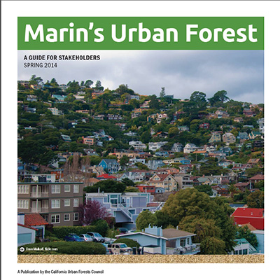 Marin's Urban Forest: A Guide for Stakeholders