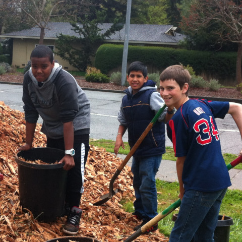 San Jose Middle School Tree Planting