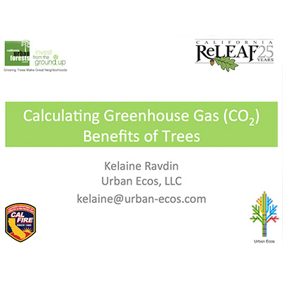 Audio: Calculating GHG Benefits of Trees