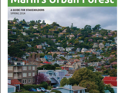 Marin’s Urban Forest: A Guide for Stakeholders