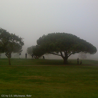 Palo Alto Municipal Golf Course Assessment