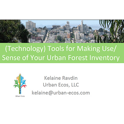 Technology Tools for Making Sense of Your Inventory